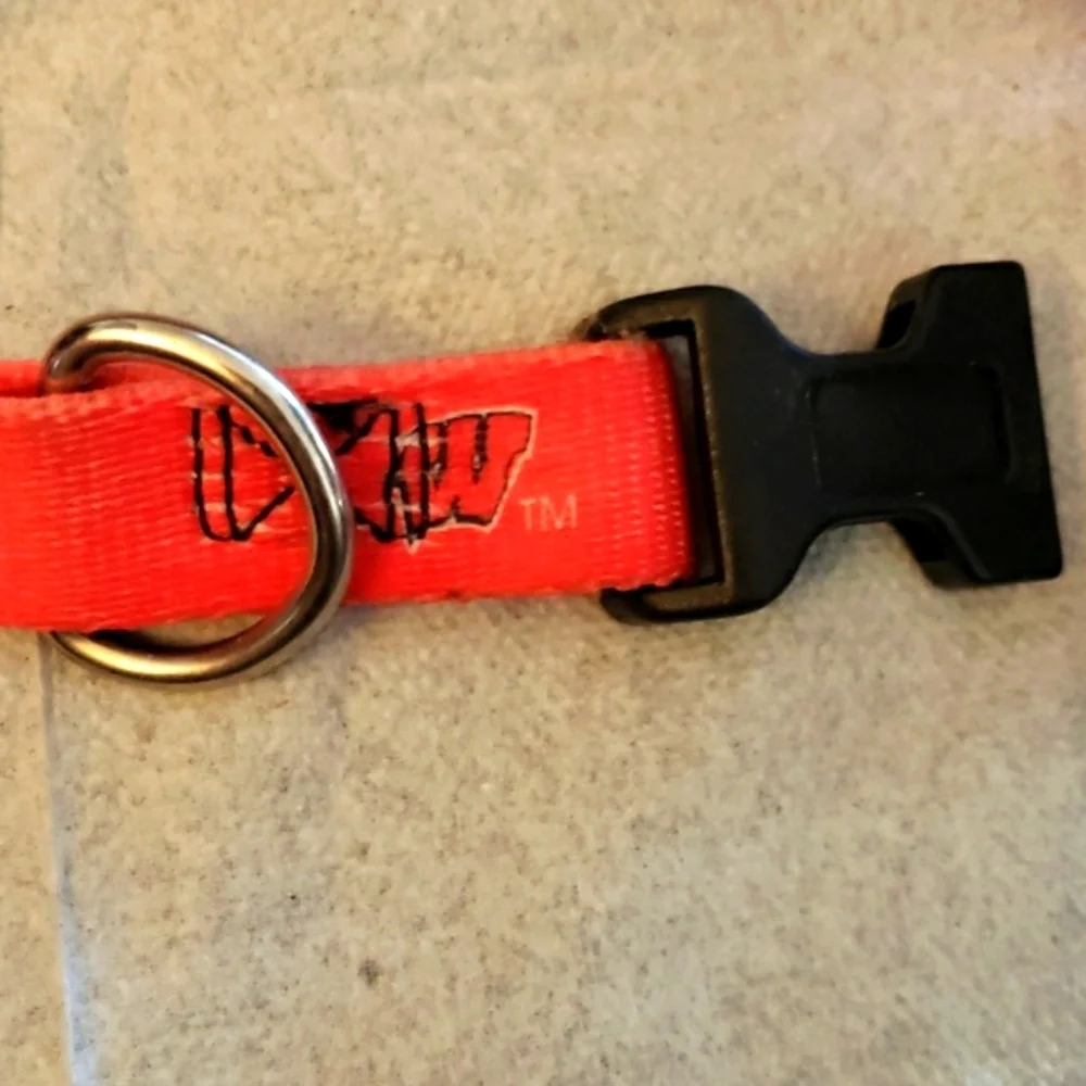 NCAA Officially Licensed Wisconsin Badgers Dog Collar Size Large